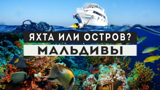 Мальдивы на яхте - лучший способ насладиться ими в полном объёме. Полезная информация.