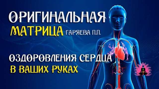 Оздоровления сердца ⚠️ Оригинальная программа матрица по технологии Гаряева ☀️ SoftRadio.ru