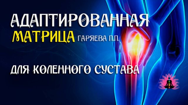 Для коленного сустава 🌀 Адаптированная программа матрица ☀️ SoftRadio.ru