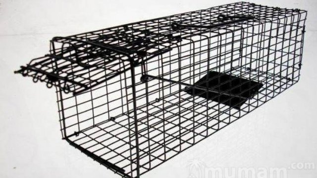 Как пользоваться кошколовкой ( котоловкой). Приют. Петербург