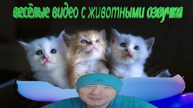 Удивительные животные выпуск длинный