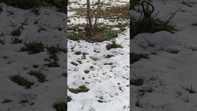 О, сколько в жизни красоты!