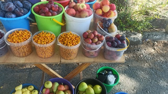 20-12-2024Очередной поход на рынок. Сад Тоторова