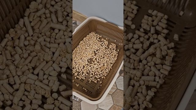 куда сыпать наполнитель? на сетку или под сетку?)))