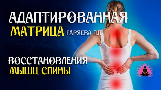 Матрица для восстановления мышц спины 🌀 Адаптированная программа матрица ☀️ SoftRadio.ru