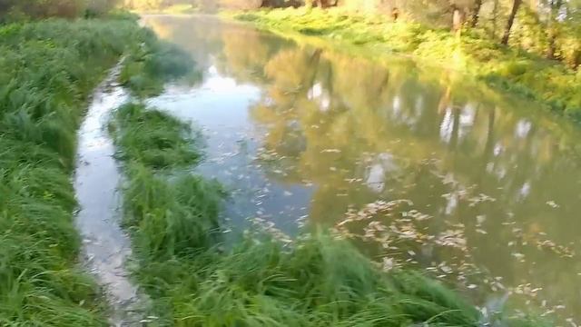 кастинговая сеть испанка, при росте уровня воды..mp4