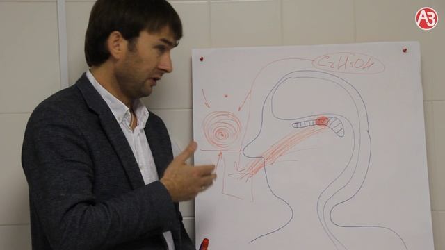 Почему формируется алкоголизм