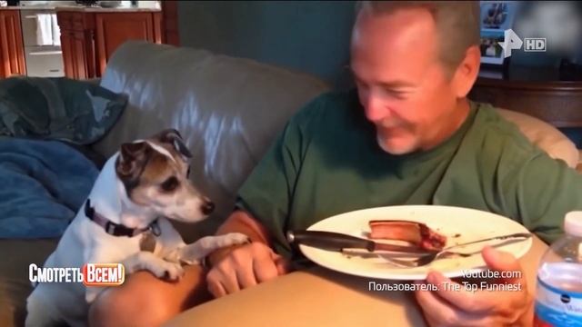 Смотреть всем 25.06.2024