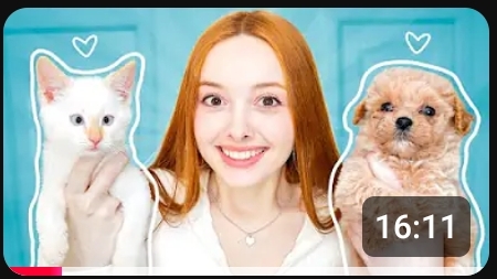 КОШКА или СОБАКА? (Мы завели животных)