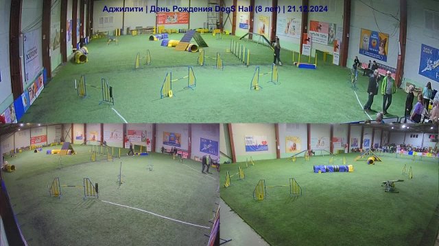 Аджилити | День Рождения Dogs Hall (8 лет) часть 5 из 9| 21.12.2024