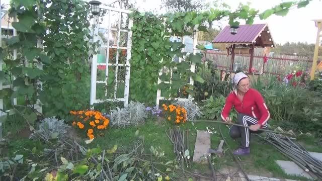 6 соток в середине сентября 2019 года.