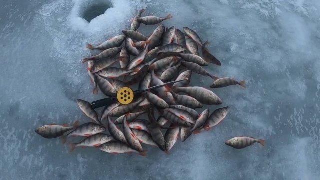 ЗИМНЯЯ РЫБАЛКА НА ОКУНЯ. ЛУЧШАЯ ПРИМАНКА ЗИМОЙ- МОТЫЛЬ! ЛОВЛЯ НА МОРМЫШКУ КРУПНОГО ОКУНЯ.