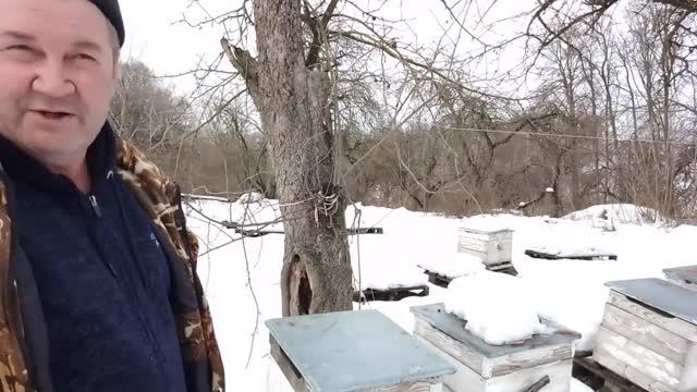 20 декабря