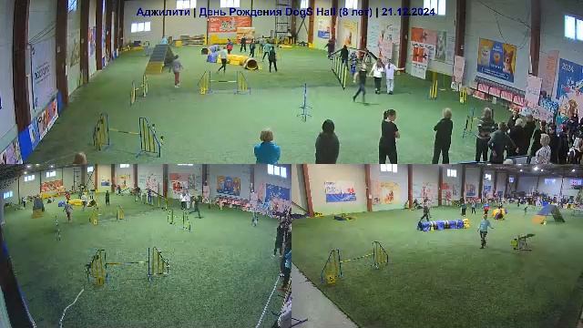 Аджилити | День Рождения Dogs Hall (8 лет) часть 2 из 9| 21.12.2024