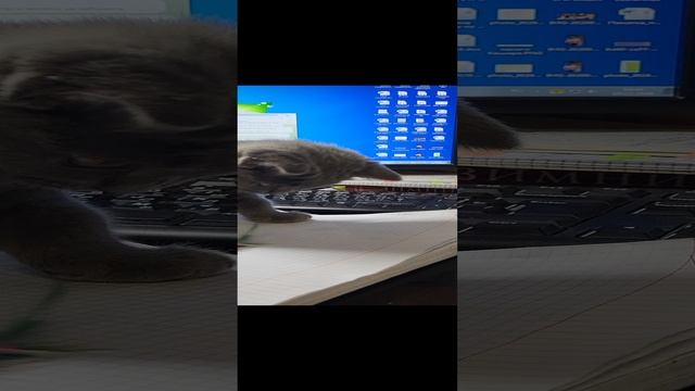 1000076201.mp4