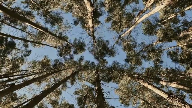 Матрица Гаряева*Мощная Медитация на Исцеление от Одиночества*Привлечение Любви в Вашу Жизнь