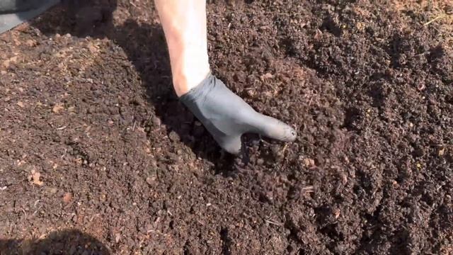 Работа с червем Дендробеной в буртах