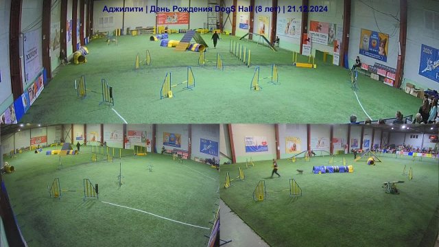 Аджилити | День Рождения Dogs Hall (8 лет) часть 7 из 9| 21.12.2024