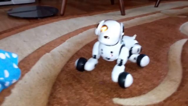 ЗУММЕР робот собака.