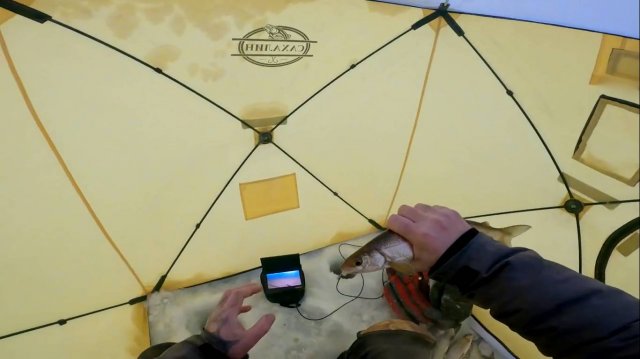 Рыбалка для праздничного стола.