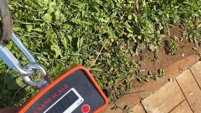 Испытание резины