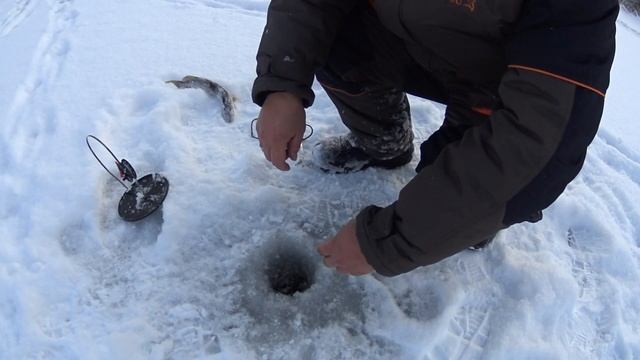 Зимняя рыбалка как она есть. Щука на жерлицы. Чебак на мормышку.