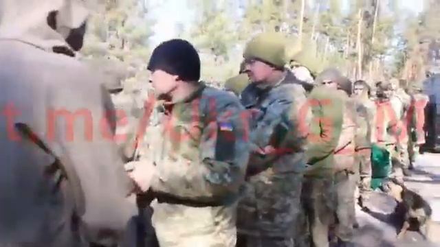 Песня про Украину-нас кинули...