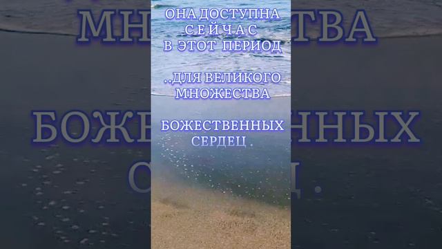 1000062691.mp4