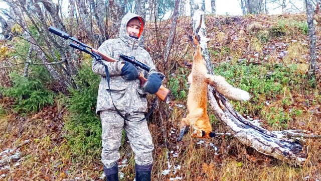 ОХОТА НА ЛИСУ-СЛАБОНЕРВНЫМ НЕ СМОТРЕТЬ / ИСКРЫ ЛЕТЯТ КАК БУДТО БРОНЕБОЙНЫМИ СТРЕЛЯЮТ.