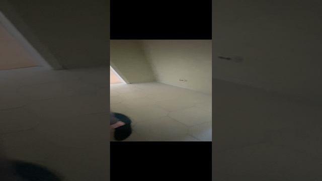 Апельсин