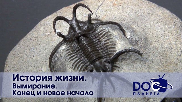 История жизни - Часть 5.Вымирание. Конец и новое начало - Документальный фильм