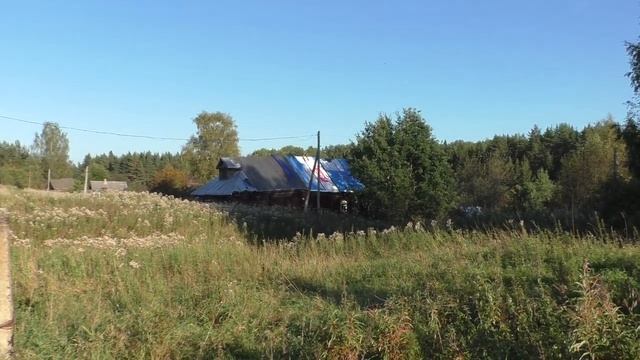 Деревня в глубинке Костромской области. Жизнь в заброшенной деревне. Заброшенная деревня.