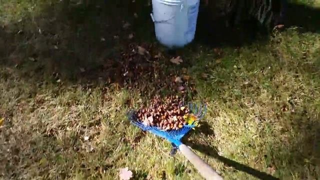 ленивый способ.mp4