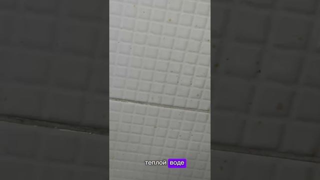 3456050650948008970