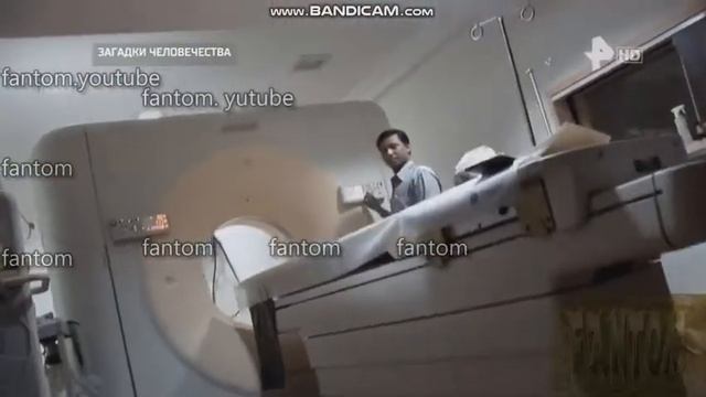 сойленд, заменитель еды