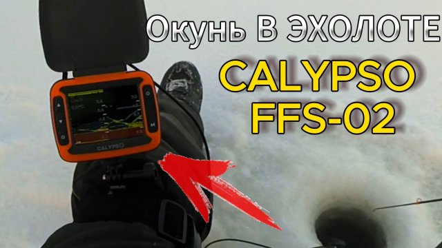 Эхолот Калипсо FFS-02 и ловля окуня на Ладоге