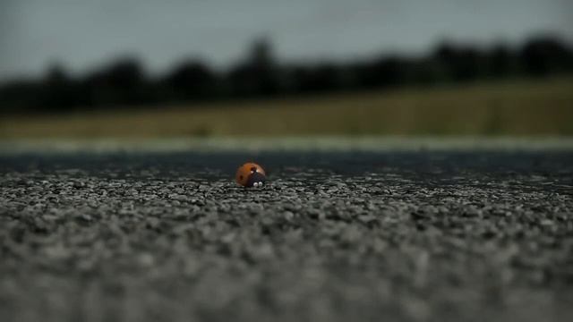 Minuscule