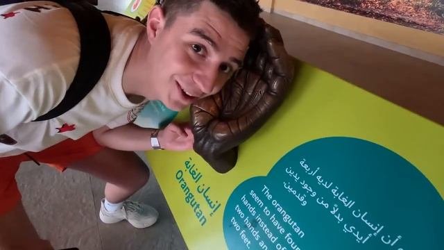 24 Часа в ЗООПАРКЕ Челлендж ! (А4)