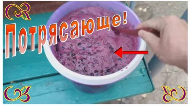 Виноделие и как сделать домашнее вино для себя.