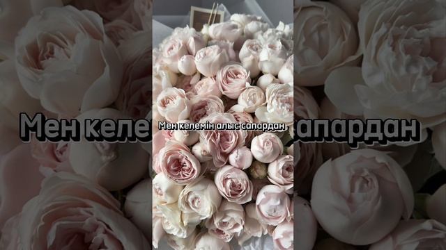 Ай, Фарида Фарида ТЕКСТ ПЕСНИ