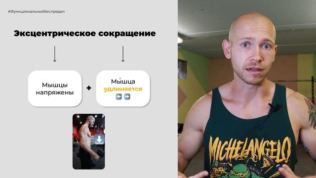 Режимы сокращения мышц | Какие бывают? | Изометрический, Концентрический, Эксцентрический режимы