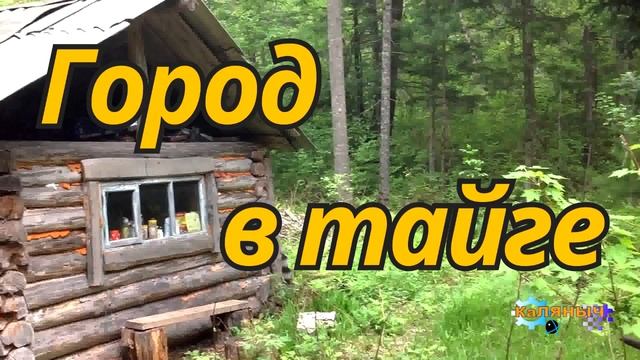 1169 - Город в тайге