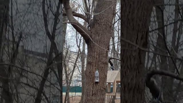 1000082917.mp4
