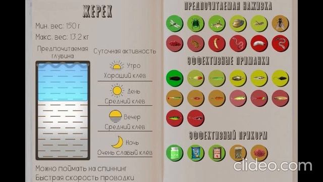 РЕАЛЬНАЯ РЫБАЛКА 2 | ЖЕРЕХ