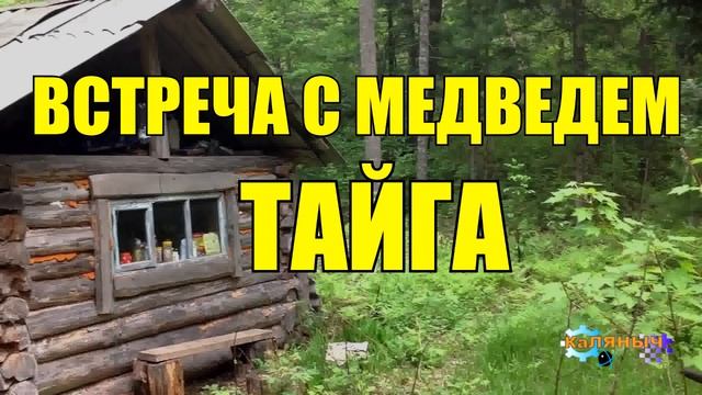 ВСТРЕЧА С МЕДВЕДЕМ _ ТРИ СЛУЧАЯ В ТАЙГЕ