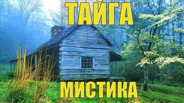 ПРОКЛЯТЫЙ СТАРЫЙ ДОМ в ТАЙГЕ НАХОДКА в ПОДВАЛЕ СТАРОВЕРЫ ПРОМЫСЕЛ СТРАШНЫЕ ИСТОРИИ из ЖИЗНИ в ЛЕСУ