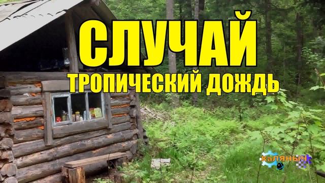 0114 СЛУЧАИ ИЗ ЖИЗНИ ИСТОРИИ из ЖИЗНИ ЖИЗНЬ в ТАЙГЕ ВОЛКИ МЕДВЕДЬ ЖИВОТНЫЕ РАССКАЗЫ НА НОЧЬ НЕВЕРОЯТ