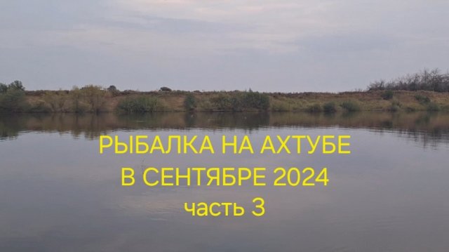 РЫБАЛКА И ОТДЫХ НА АХТУБЕ В СЕНТЯБРЕ 2024!!!