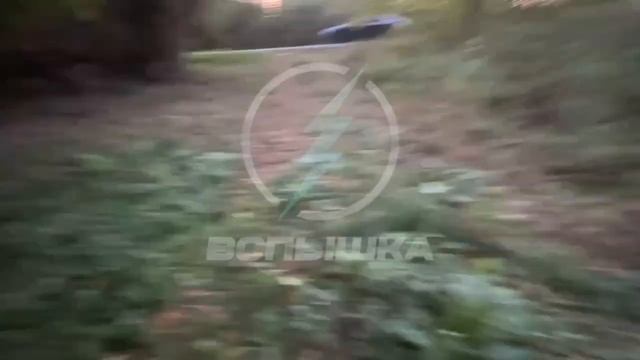 ЕГОР ДЕКСТЕР ПРОДОЛЖЕНИЕ ИЗ ТЕЛЕГРАММА! ПРО МЛАДШАЯ СЕСТРА СТАЛА КВАДРОБЕРОМ!