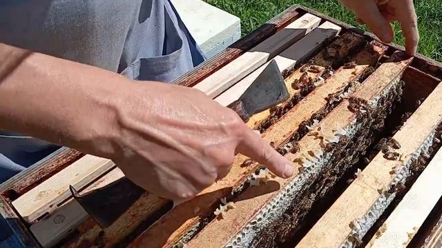 Как правильно ставить рамки в магазин (07.08.2024)